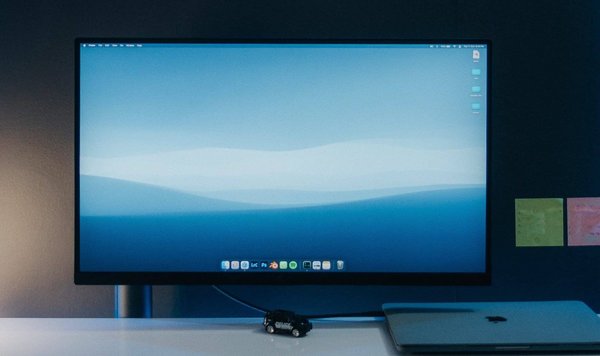 Quelles sont les considérations clés lors du choix d'un écran pour la simulation de vol ?